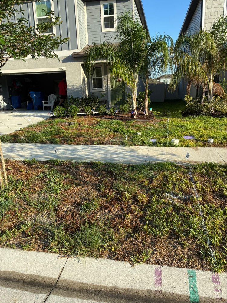 All Photos for Gulf Bay Sod in Clearwater, FL