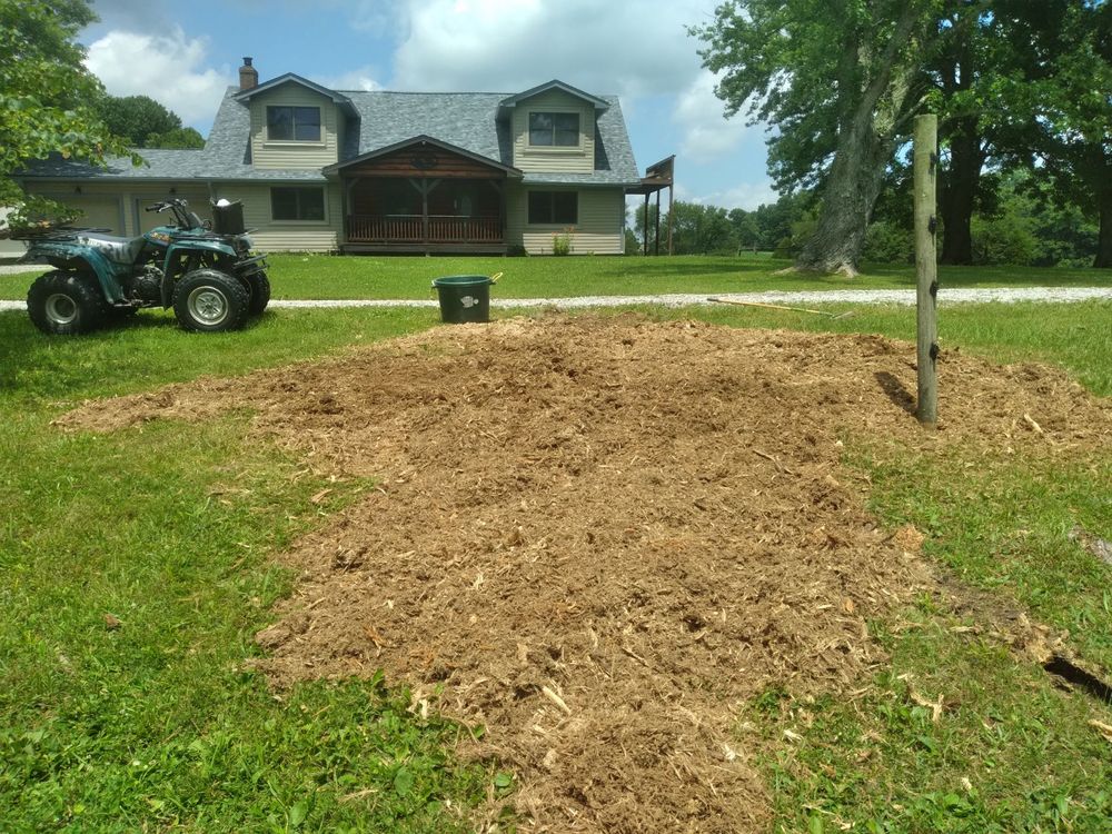 All Photos for Lightning Tree Service in Corydon, IN