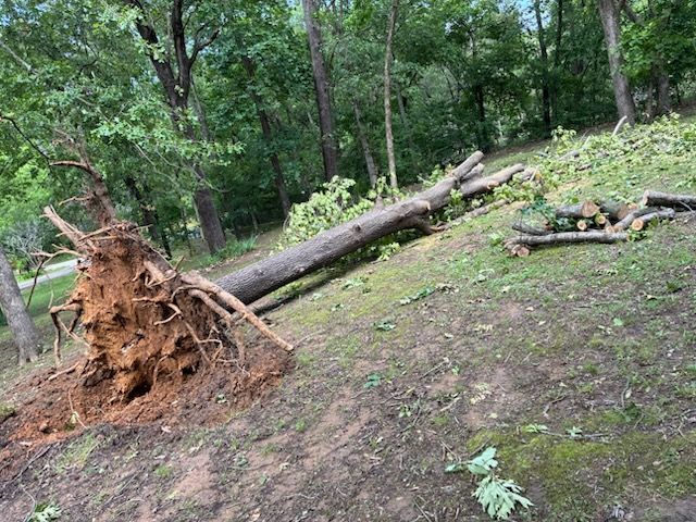 experience safe and efficient tree removal with our expert team. We handle everything from assessment to cleanup, ensuring your property is left pristine while prioritizing the health of surrounding plants. for CND Tree Services in Claremore, OK