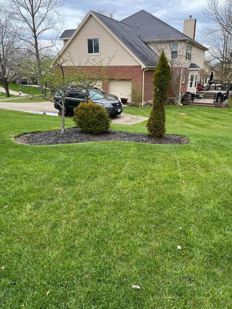 Fall and Spring Clean Up for Cincinnati’s Finest Landscape Services LLC in Cincinnati, OH