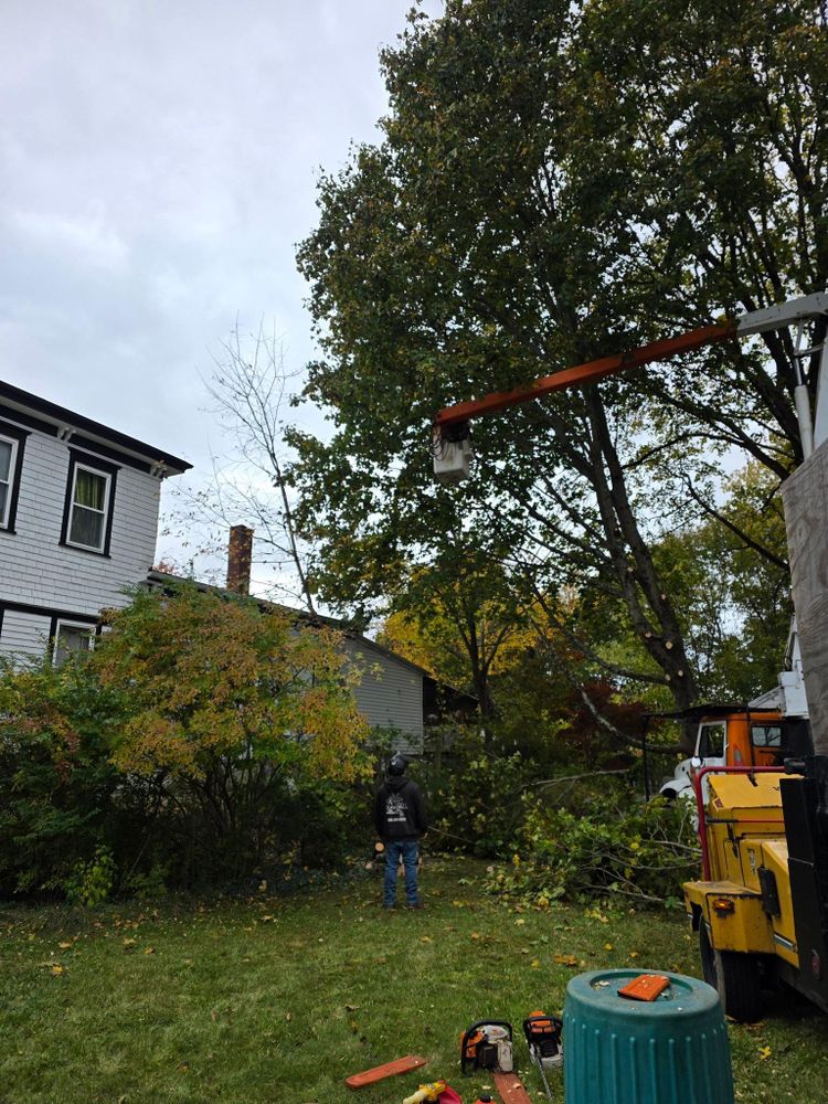 All Photos for Dwights Tree Service in Middleborough, MA