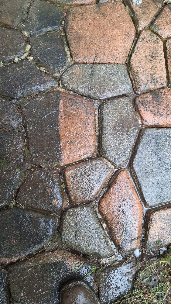 Our professional Pressure Washing service will rejuvenate your home's exterior surfaces, removing dirt, grime, mold, mildew to enhance curb appeal with a thorough clean for lasting beauty. for Precision Paving and Sealing LLC  in Waterford Township,  MI