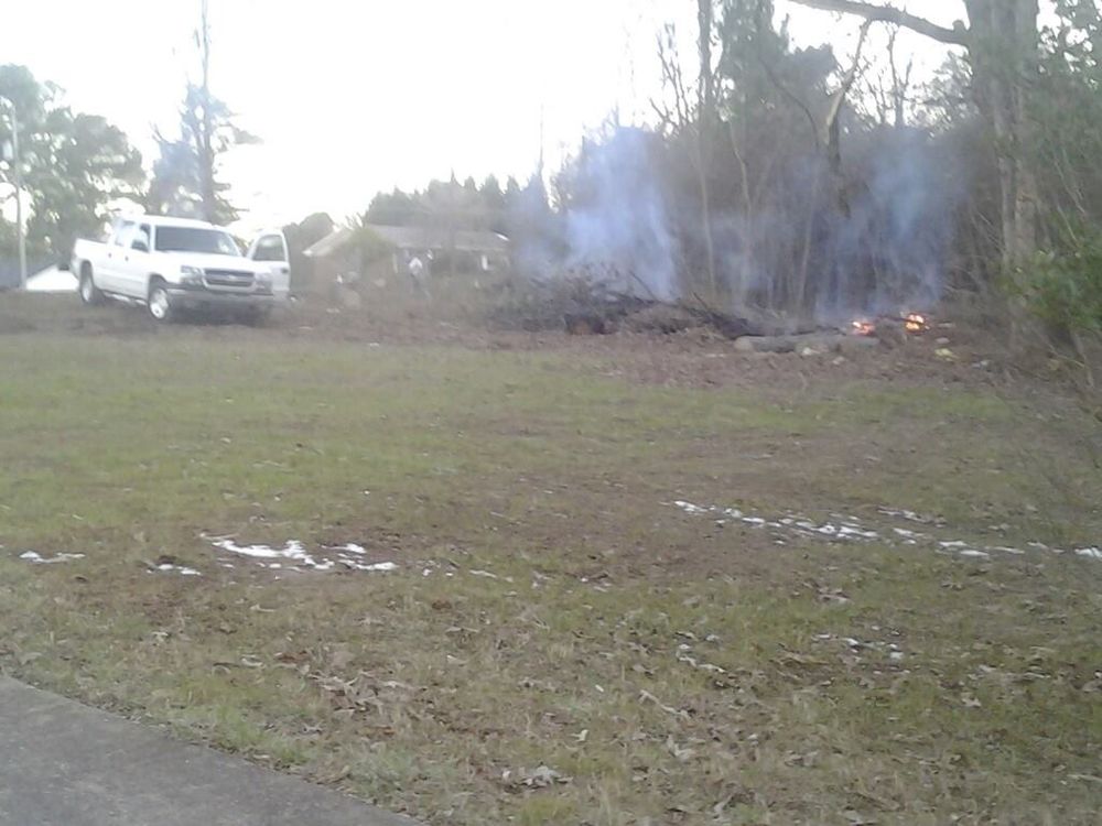 Tree Services for Wofford's Grading Clearing and Landscaping in Milton, GA