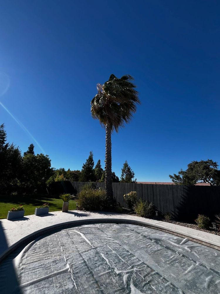 All Photos for A1 Junk & Tree Solutions, LLC in Paso Robles, CA