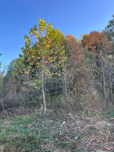 All Photos for KG Ground Development and Transportation in Newton, IL