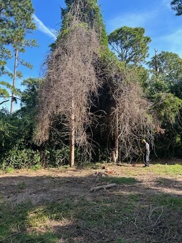 All Photos for Tucker's Tree Service and Stump Grinding in Lugoff, SC