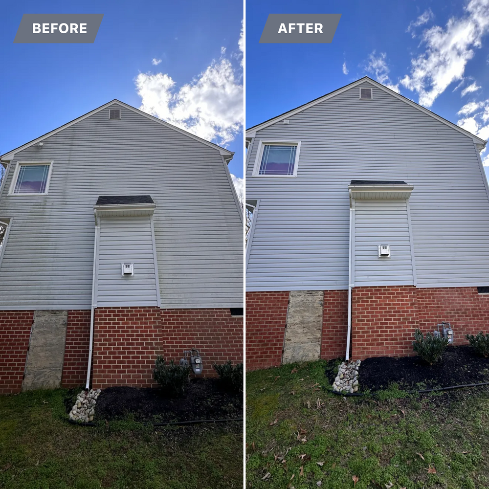 All Photos for LeafTide Solutions in Richmond, VA