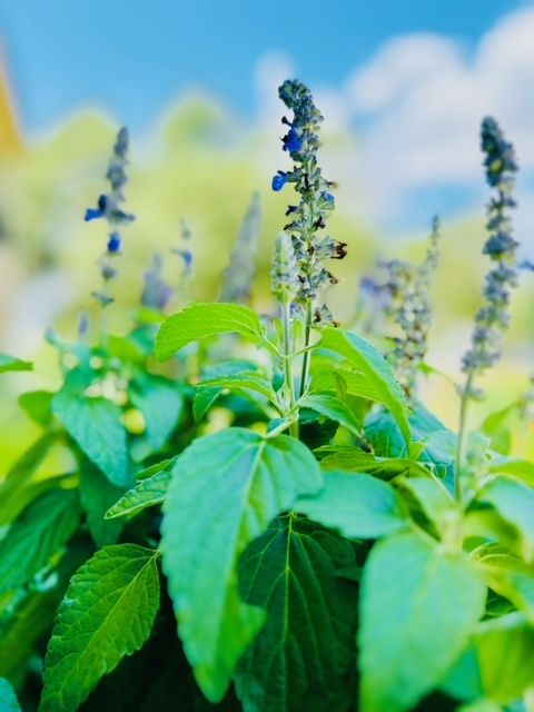 All Photos for Rustic Roots Landscaping in Austin, TX