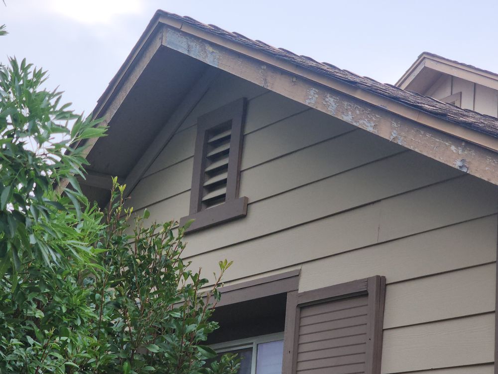 All Photos for Wise Choice Professional Painting LLC in Prescott Valley, AZ
