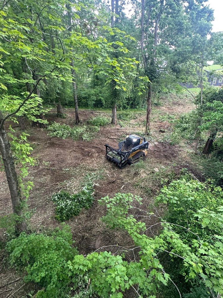 All Photos for Stevens Land Management LLC in Olympia, KY