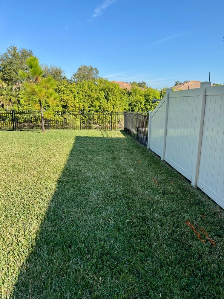 All Photos for Shoreside Property Services in Apollo Beach, FL