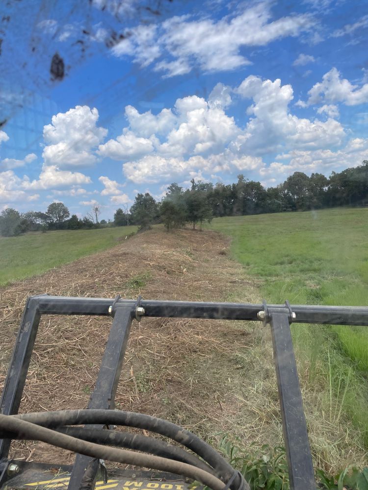 Our Forestry Mulching service efficiently clears overgrown land, turning unwanted vegetation into beneficial mulch. Ideal for site preparation and landscape enhancement, it promotes healthy soil while minimizing environmental impact and preserving desirable trees. for Beaver Excavating Services in Friendship, TN