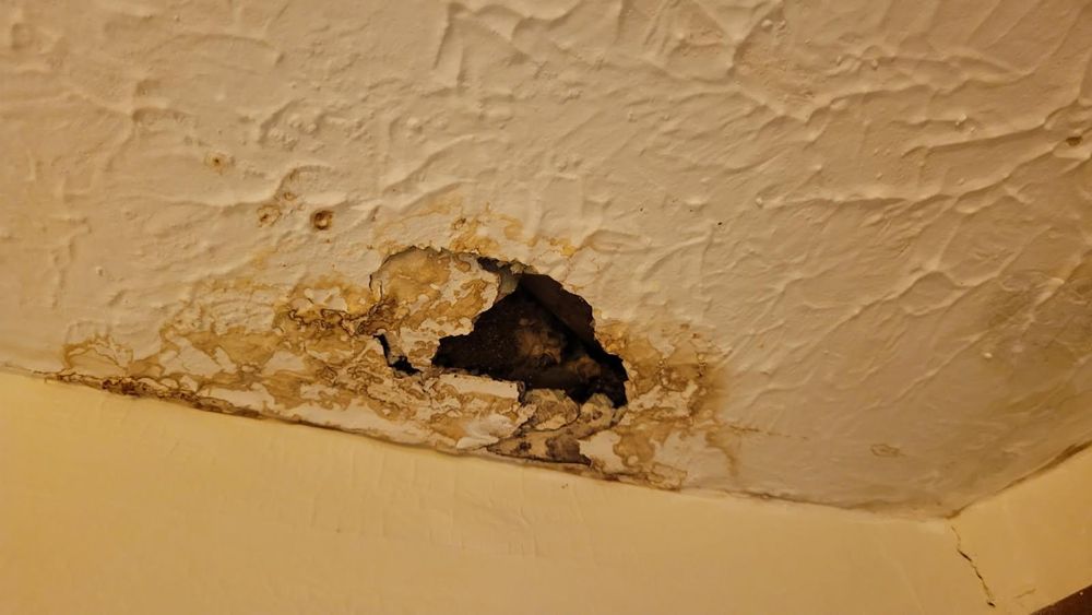 All Photos for Prestige Landscaping & Lawn Services LLC in Anderson, IN