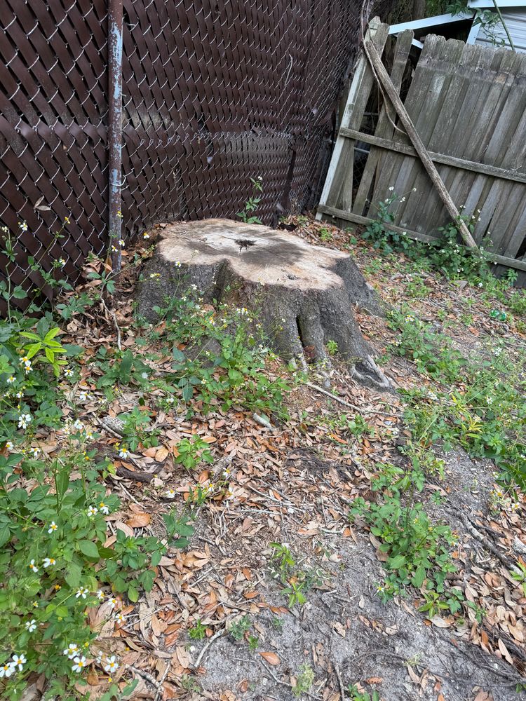 All Photos for Greene Acres Stump Grinding in Plant City, FL