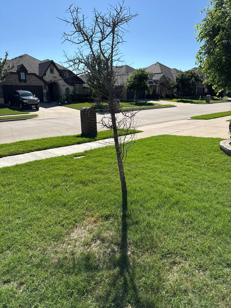 All Photos for Teague Trees and Land Clearing in Rendon, TX