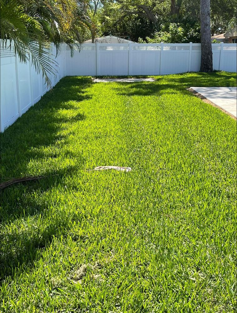 Lawn Care for Team Tolson Landscape in Tampa Bay, FL