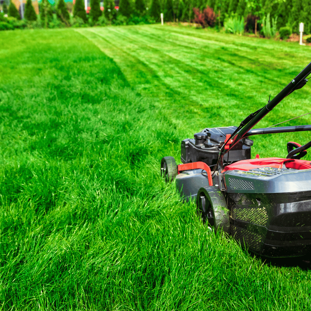 Lawn Care for Green Goat  in Lynchburg, VA