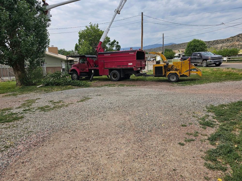 Other Services for Langston Tree & Landscape in Canon City, CO