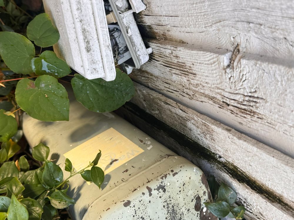 All Photos for Tony's Remodeling & Painting in Renton, WA