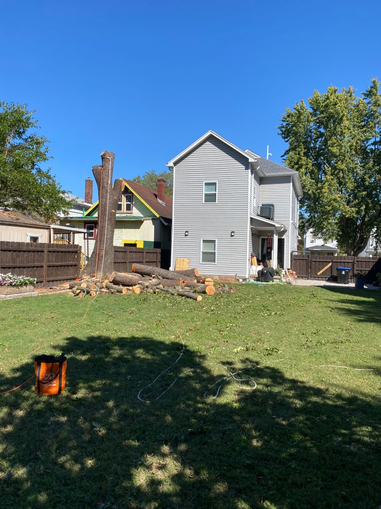 All Photos for Houtz Tree Service in Lexington, KY