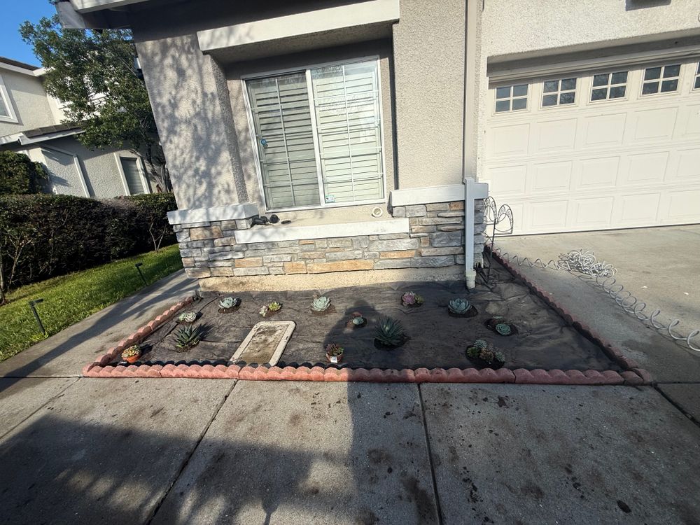 All Photos for CBA Landscaping in Hayward, CA