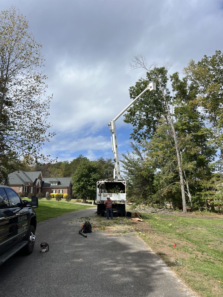 All Photos for Platinum Outdoor Services LLC in Conover, NC