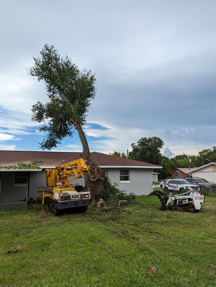 All Photos for Regal Tree Service and Stump Grinding in Wauchula, FL