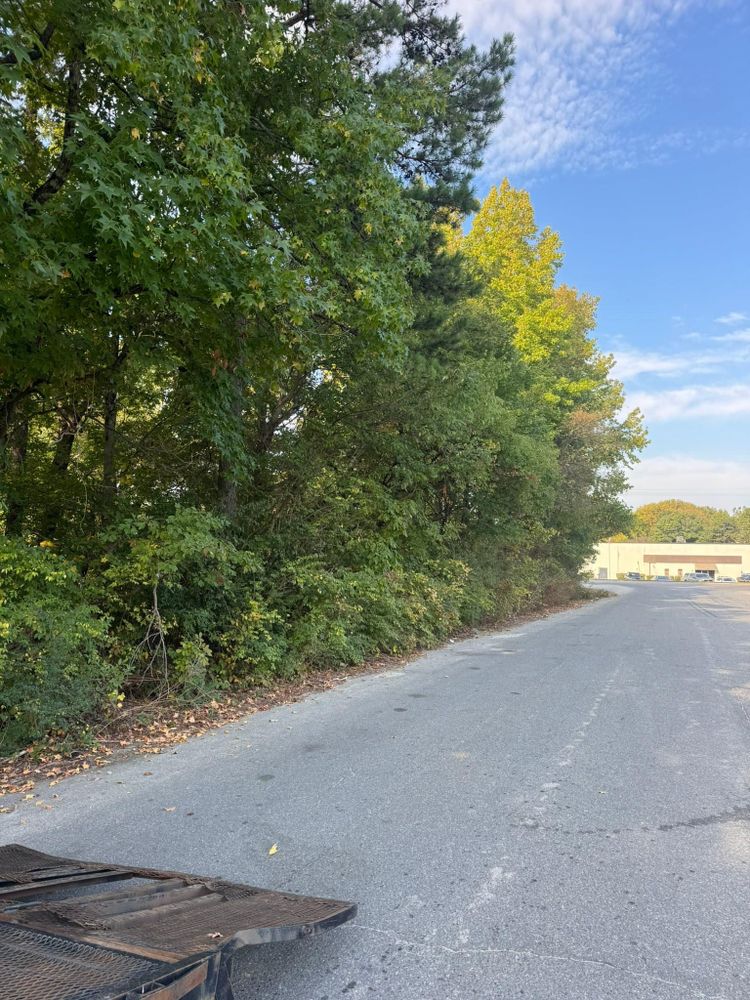 All Photos for Southern Turf & Landscape in Concord, NC