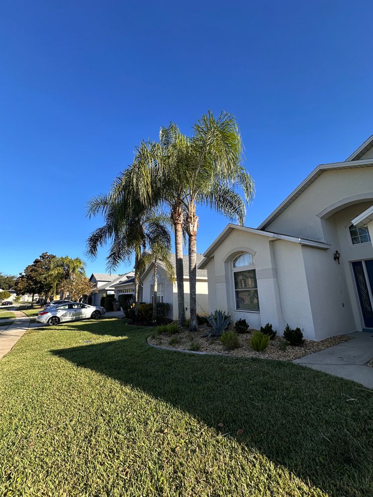 All Photos for Ludlows Services in Clermont, FL