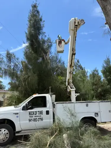 Nick of Time Tree Service team in North Port, FL - people or person