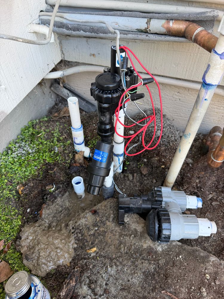 All Photos for CBA Landscaping in Hayward, CA