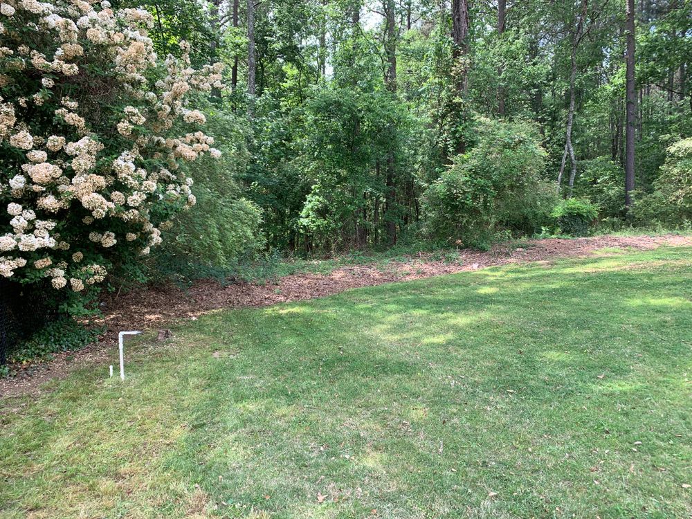 Our Brush Clearing service removes overgrown vegetation, weeds, and unwanted brush to improve safety, enhance curb appeal, and prepare your property for landscaping, construction, or easier ongoing maintenance year-round. for Clark's Cuts Lawn Care in Lilburn, GA