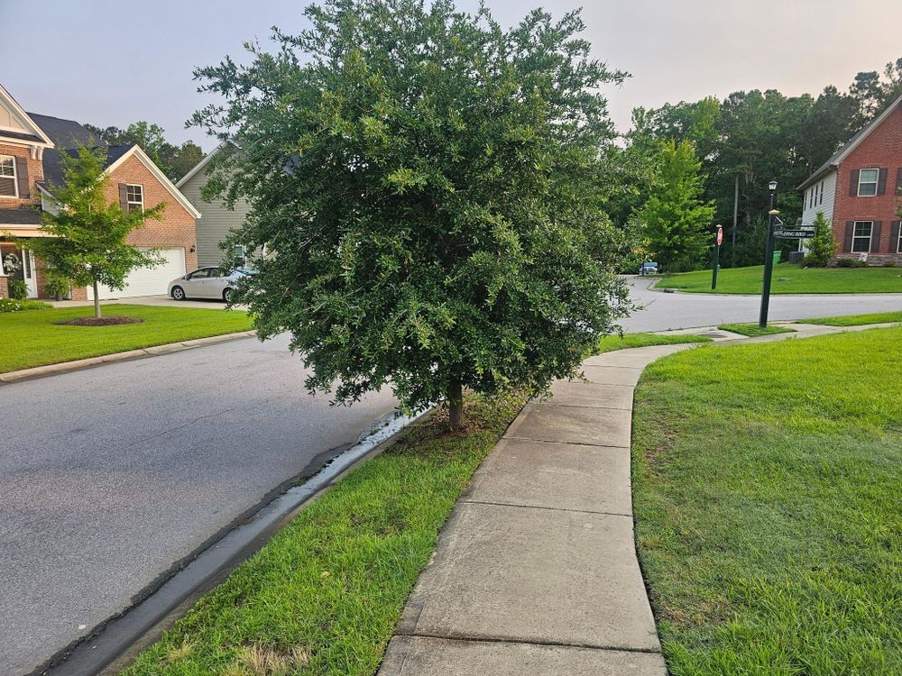 All Photos for 1 Man Does It Lawn Service in Blythewood, SC