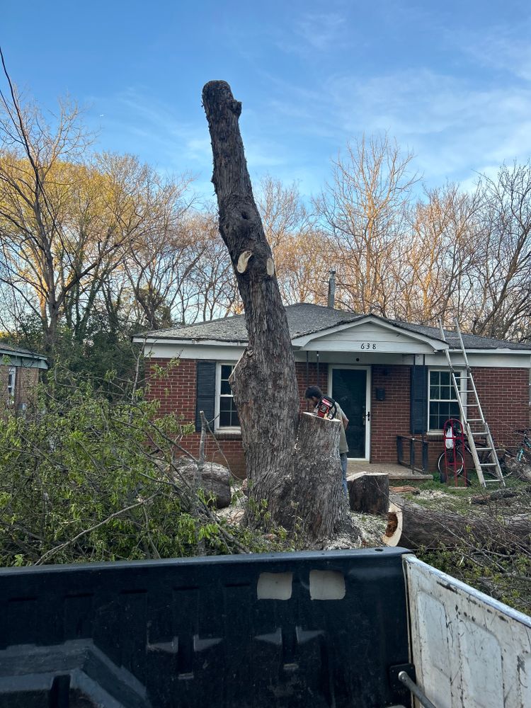 All Photos for Oakhurst Landscaping and Tree Service in Charlotte, NC