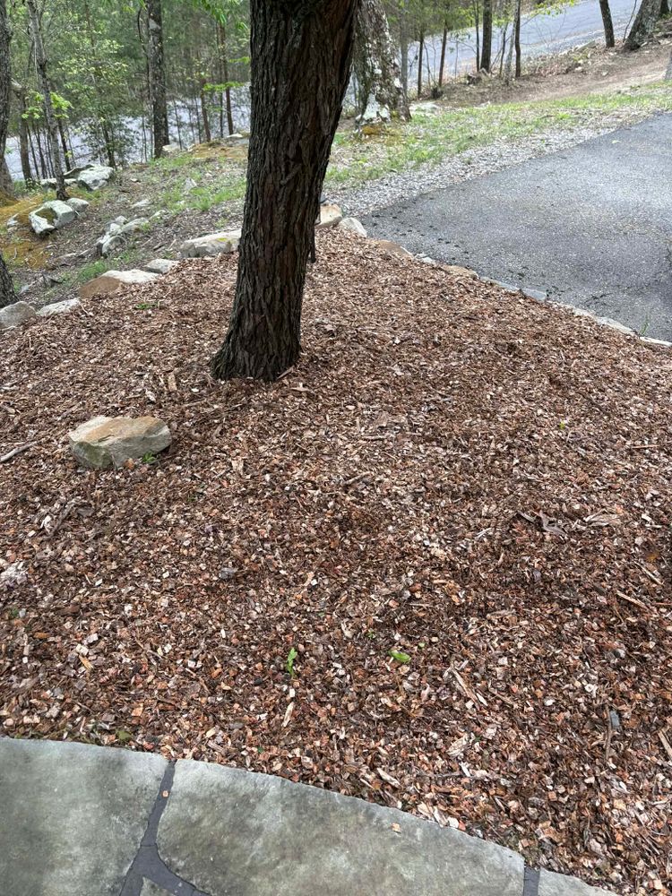 Landscaping for Starnes Hardscapes & Property Management LLC in Dunlap, TN