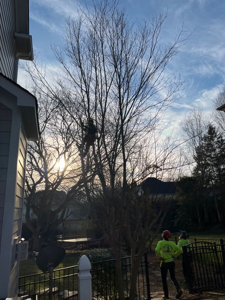 All Photos for Diversified Tree Company in Trinity, NC