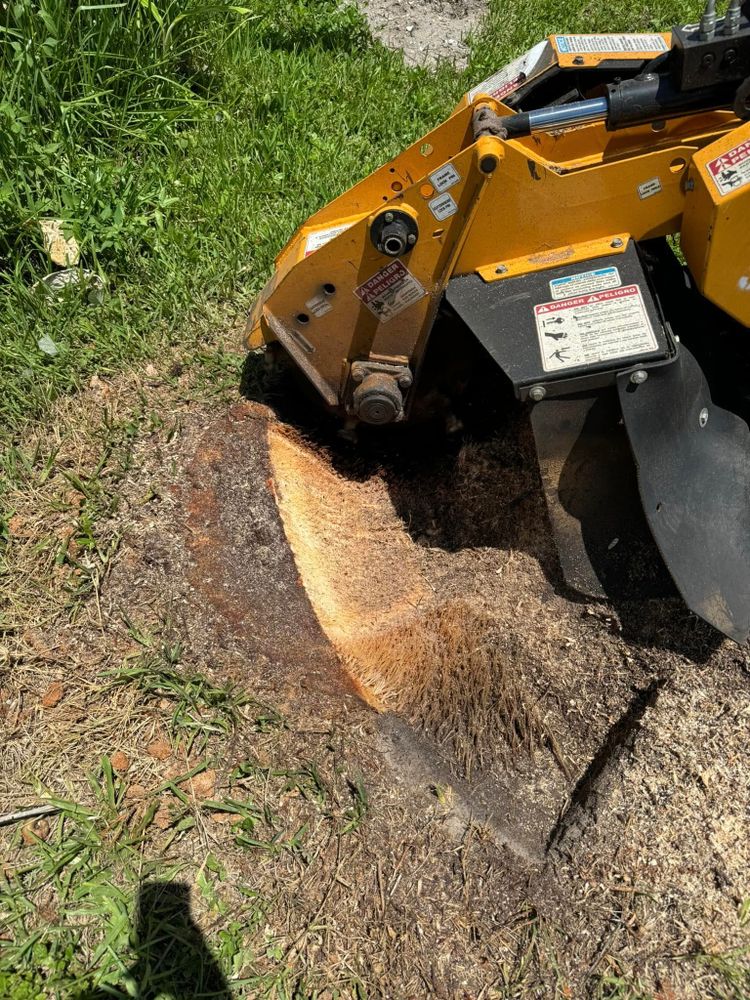 Our stump grinding service efficiently removes tree stumps from your property, enhancing safety and aesthetics. Trust us for a clean finish that promotes healthy lawn regrowth and enhances your landscape's appearance. for Rize N’ Grind  in Punta Gorda, FL