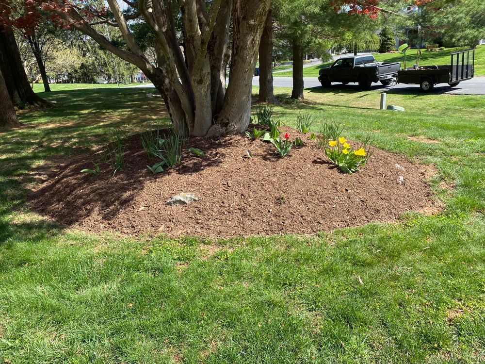 Mowing for Beach Boy Grounds Maintenance LLC in Germantown, MD