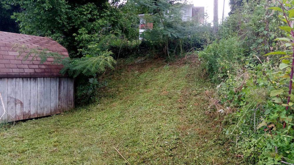 Lawn Maintenance for Chris' Lawn Care and Remodeling in Anniston, AL