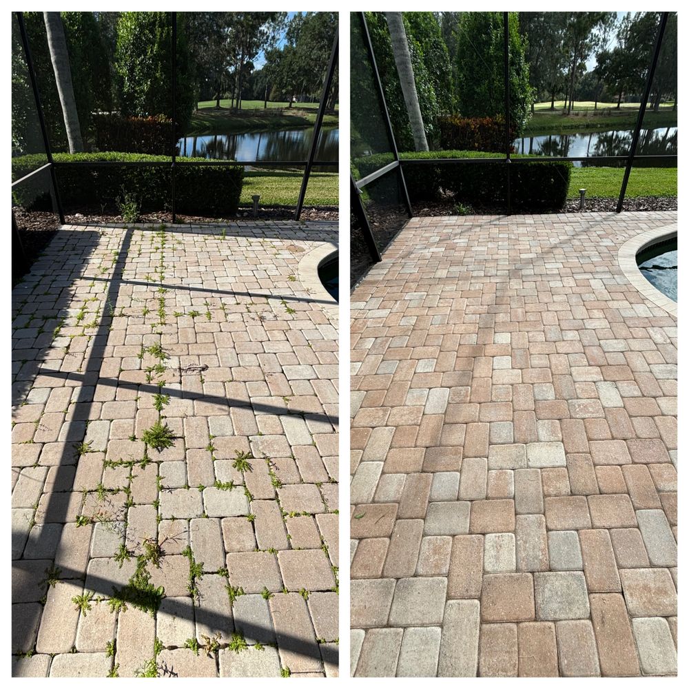 All Photos for Silver King Finishings in Sarasota, FL