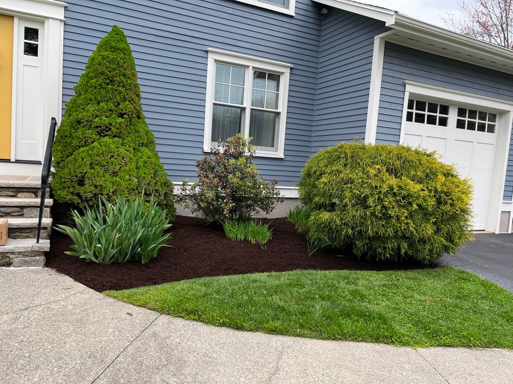 D.S. Landscaping & Construction team in Lynn, MA - people or person
