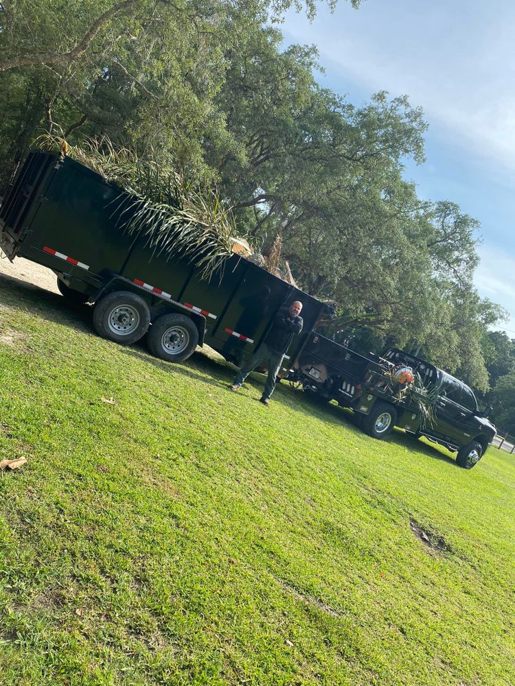 Tree Removal for 163 Property Maintenance in Hernando County,  FL