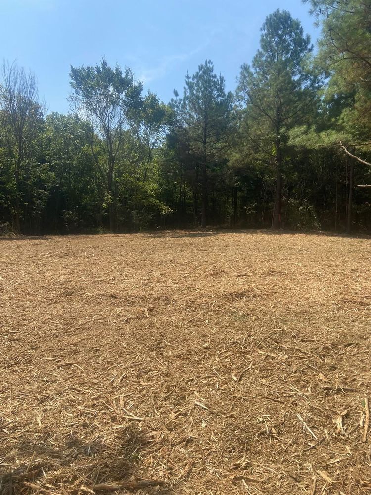 All Photos for Simmons land works in Sardis,, TN