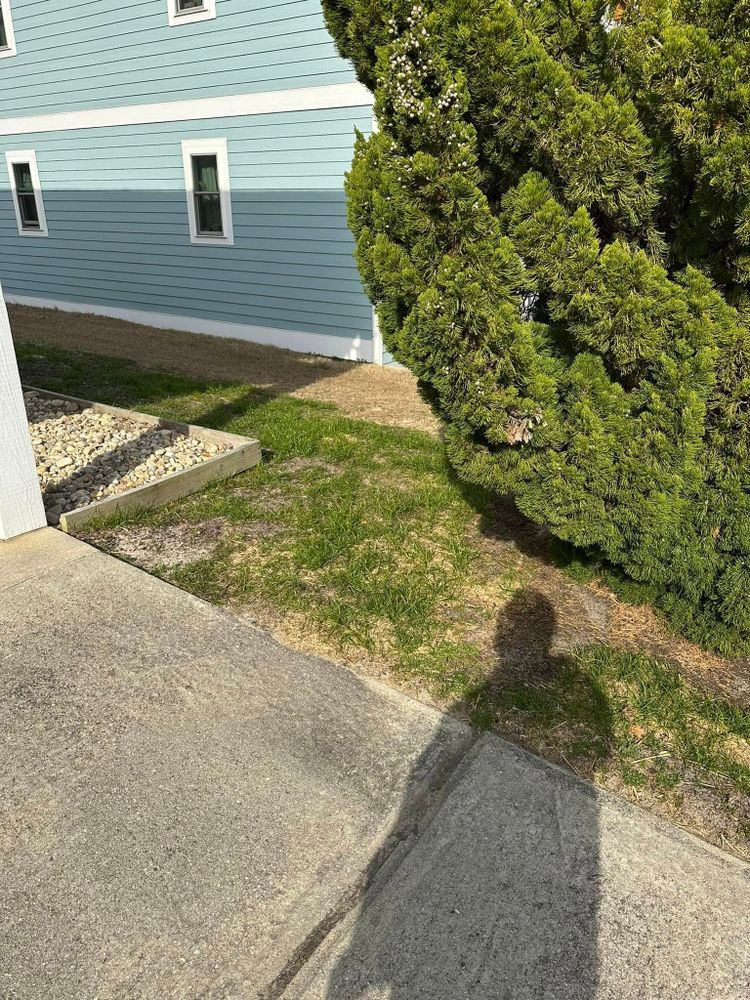 All Photos for Cahoon's Coastal Lawn Care Services in Manteo, NC