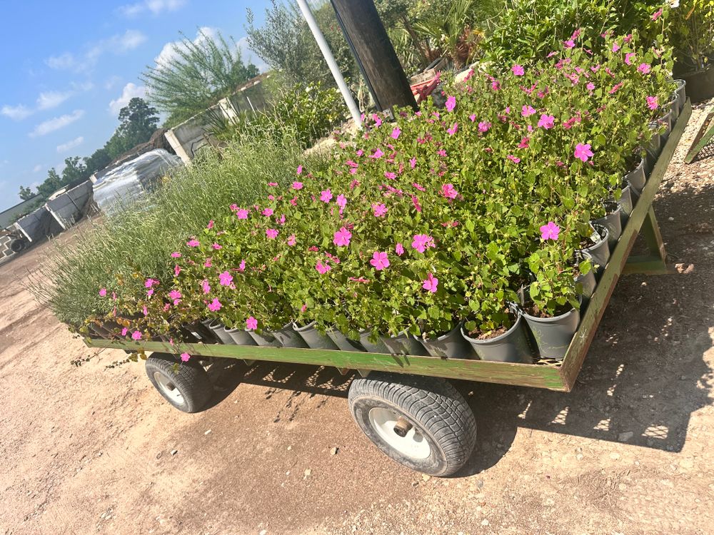 All Photos for Atlas Land Design in Creekside Park, TX