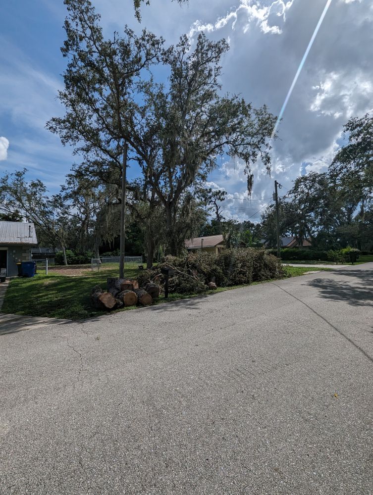 All Photos for Regal Tree Service and Stump Grinding in Wauchula, FL