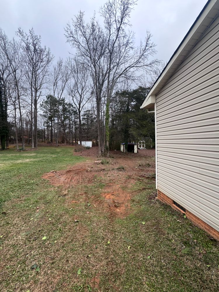 Tree Removal for Diversified Tree Company in Trinity, NC