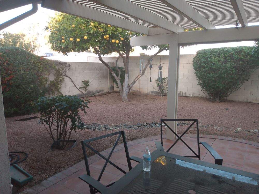 Shrub triming for Sharp Image LLC Landscaping & Hardscape in Phoenix, AZ