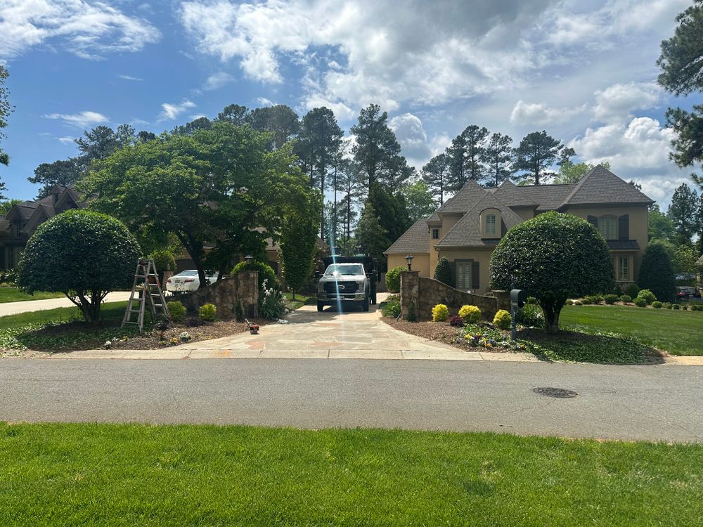 All Photos for Pecina Pine Needles in Monroe, NC