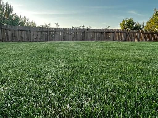 All Photos for Earth First Turf, LLC in Cherokee County, GA